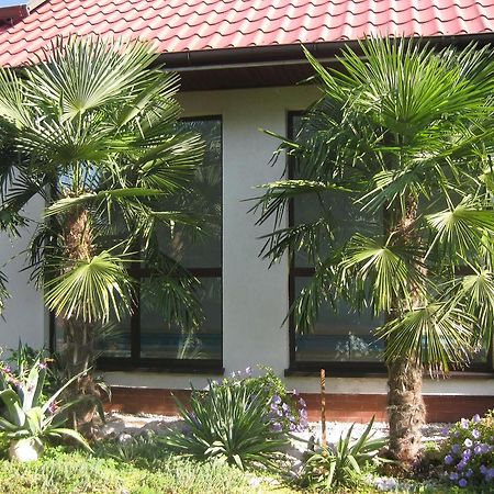 Pokoje Goscinne Pod Palmami Busko-Zdrój Dış mekan fotoğraf
