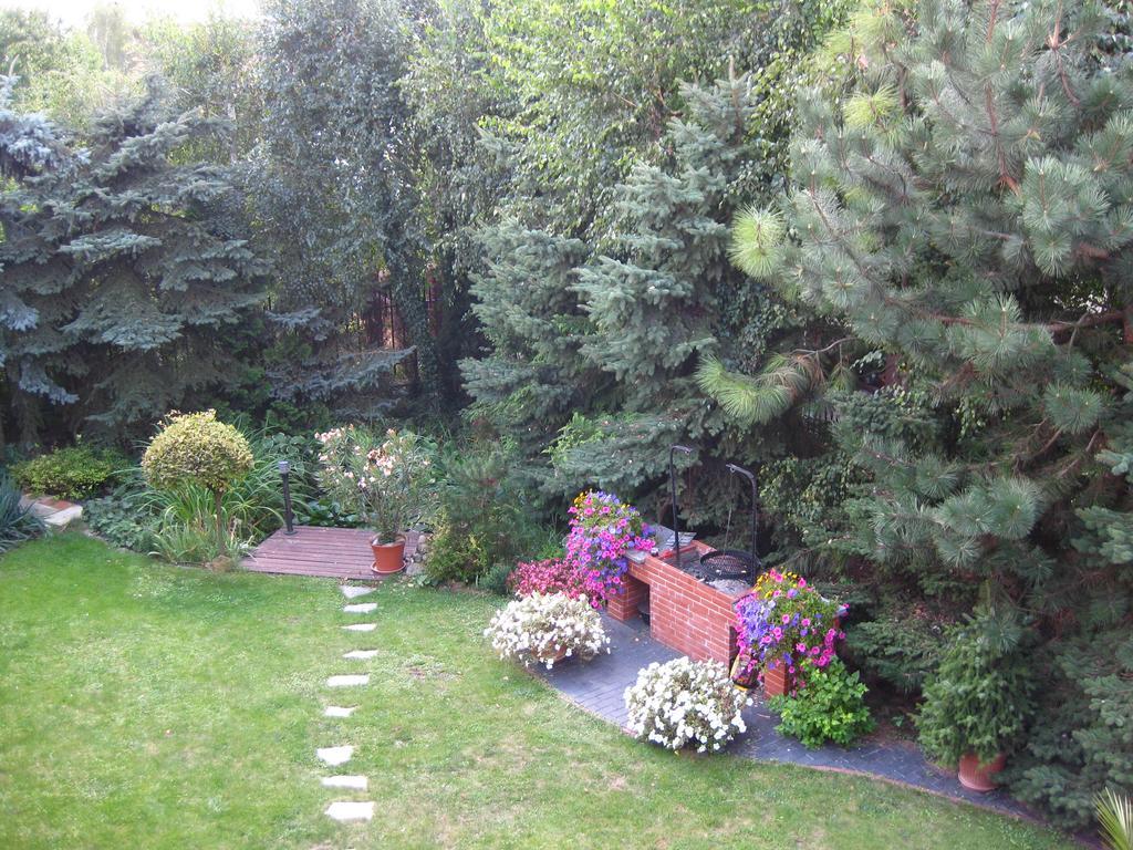 Pokoje Goscinne Pod Palmami Busko-Zdrój Dış mekan fotoğraf